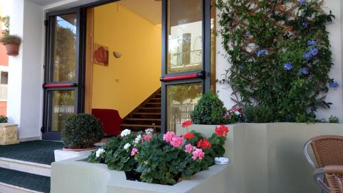 Viserba Hotel | Hotel Carmen Viserba