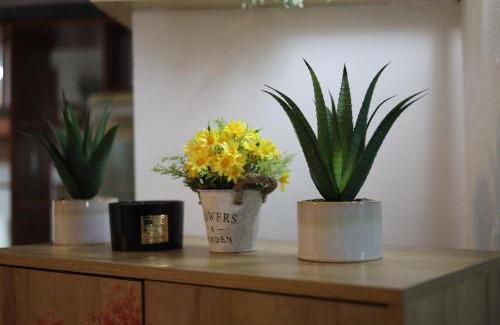 Calafat Hotel | Hotel Casa Italia