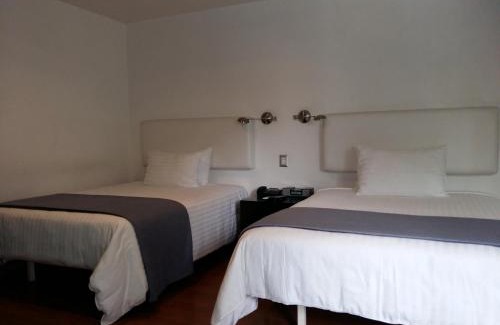 Zapopan Hotel | Hotel CLARUM 101