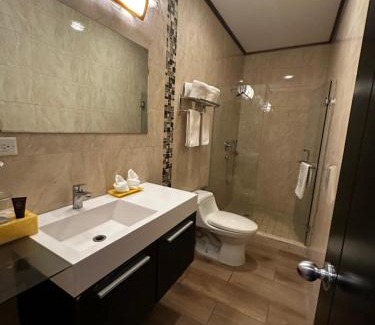 David Hotel | Hotel Crowner David