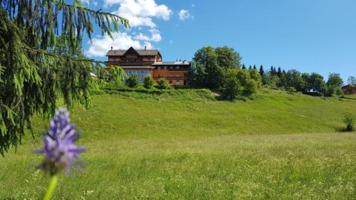 Asiago Hotel | Hotel da Barba B&B