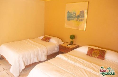 Rio Cuarto de Grecia Hotel | Hotel del Bosque