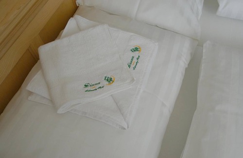 Straza Hotel | Hotel Diana