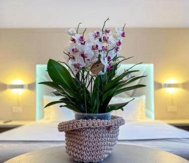 Campulung Moldovenesc Hotel | Hotel Eden Garden Spa