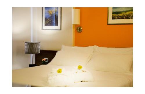 Palombina Nuova Hotel | Hotel Europa