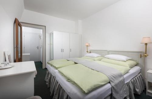 Marianske Lazne Hotel | Hotel Ferdinand