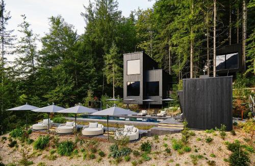 Faistenau Hotel | Hotel Fischerwirt Natur WaldSPA