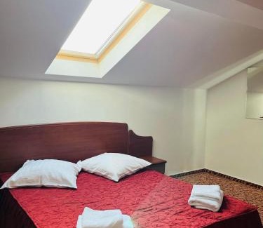 Drobeta-Turnu Severin Hotel | Hotel Flora