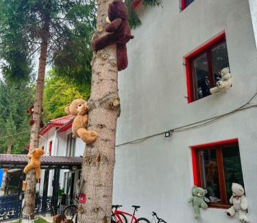Moroeni Hotel | Hotel Gâlma