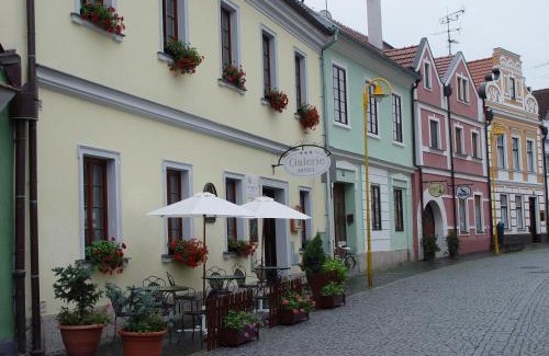 Trebon Hotel | Hotel Galerie