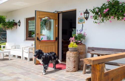 Pera Bed & Breakfast | Hotel Garnì Rosengarten