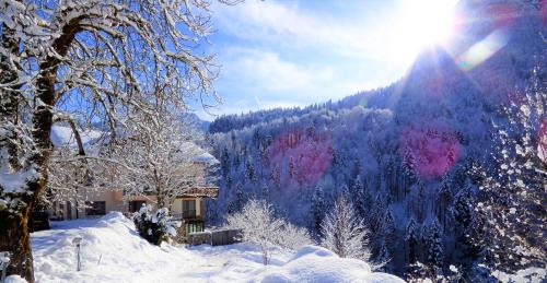 Schneizlreuth Hotel | Hotel-Gasthof Mauthäusl