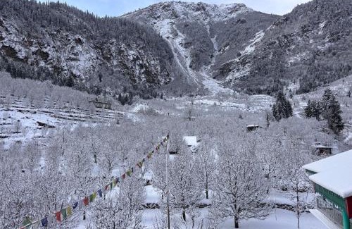 Sangla Hotel | Hotel Geetanjali