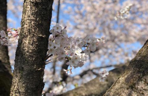 Kumagaya Resort | Hotel Heritage
