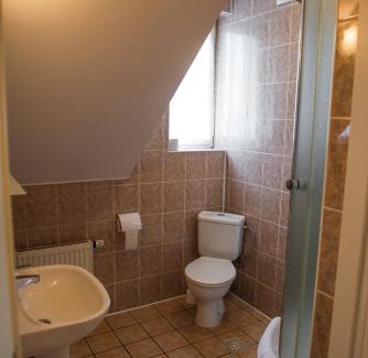 Ostrow Wielkopolski Hotel | Hotel i Restauracja Borowianka