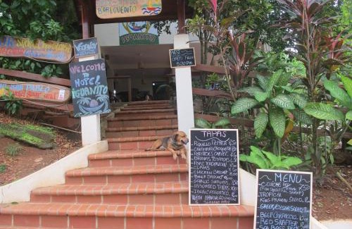 Santa Catalina Hotel | Hotel Iguanito