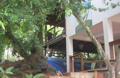 Santa Catalina Hotel | Hotel Iguanito