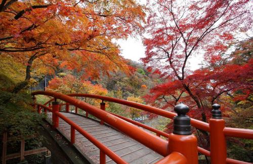 Harunako Onsen Hotel | Hotel Ikaho Ginsui