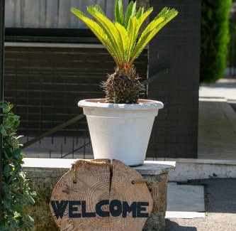 Zona XLV Castel di Guido Hotel | Hotel Boomerang Roma