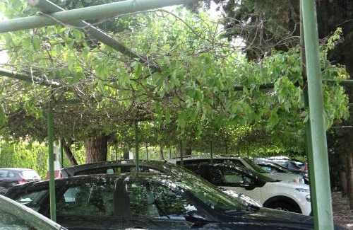 Zona XLV Castel di Guido Hotel | Hotel Boomerang Roma