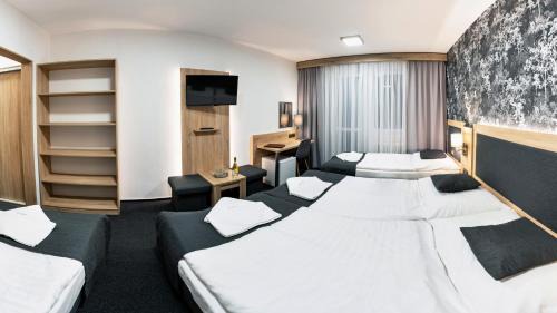 Mala Moravka Hotel | Hotel Kamzík *