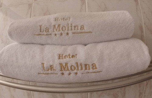La Molina Hotel | Hotel La Molina