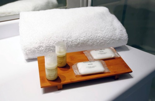 Orchies Hotel | Hotel Le Manoir