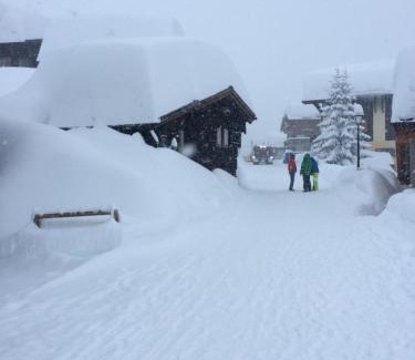 Bettmeralp Hotel | Hotel Le Postillion