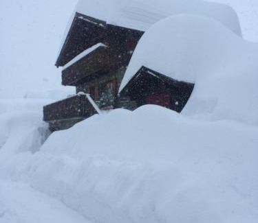 Bettmeralp Hotel | Hotel Le Postillion