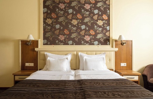 Sebes Hotel | Hotel Leul de Aur