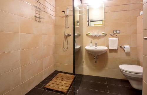 Plzen 3 Hotel | Hotel Lions Plzen