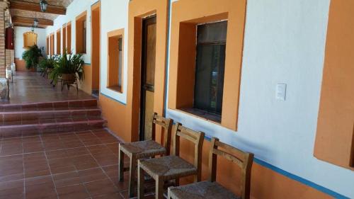 Centro Hotel | Hotel Los Mezquites