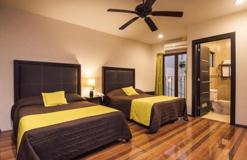 Xalapa Hotel | Hotel Majova Inn Xalapa
