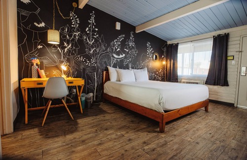 Tucson Hotel | Hotel McCoy - Art, Coffee, Beer, Wine