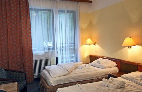 Frysava pod Zakovou horou Resort | Hotel Medlov Depandance