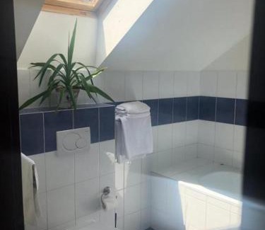 Zavar Hotel | Hotel Mlyn