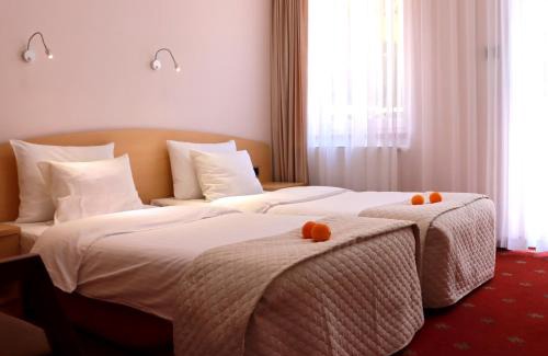 Brzeziny Hotel | Hotel Nad Mrogą