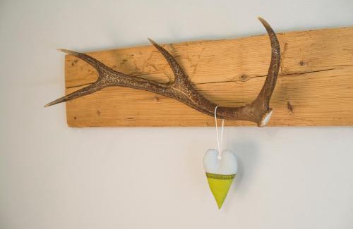 Frutigen Hotel | Hotel National