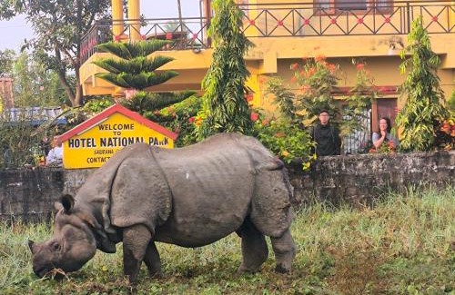 Sauraha Hotel | Hotel National Park Sauraha- Homely Stay and Peaceful Location with Jungle Safari arrangements