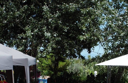 Salakos House | Hotel Nymph Boutique Salakos