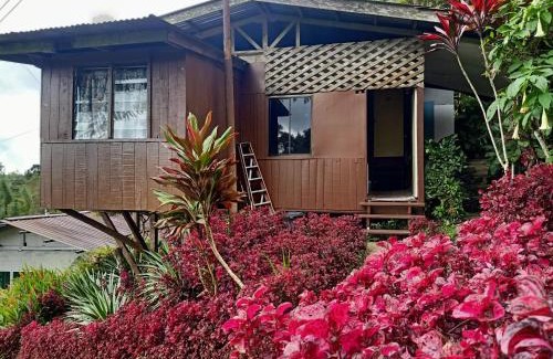 Kinabalu Park House | Hotel O Mountain Resthouse