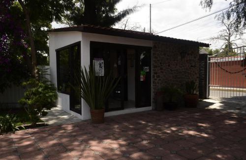 Teotihuacan Centro Hotel | Hotel Palmas Teotihuacán