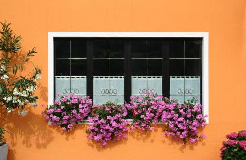 Vallarsa Hotel | Hotel Passo Buole