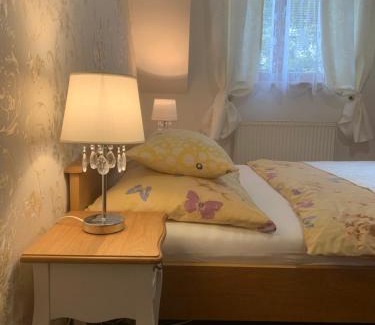 Vikyrovice House | Hotel Penzion Trámky