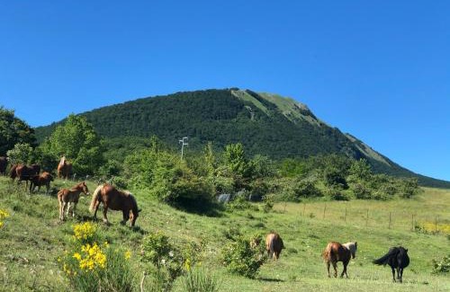 Calvello Hotel | Hotel Pietrapanna