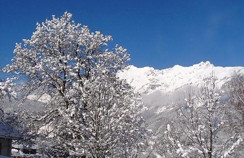 Schwaz Hotel | Hotel Plankenhof B&B