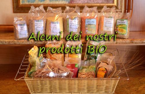 Caderzone Terme Hotel | Hotel Regina Elena