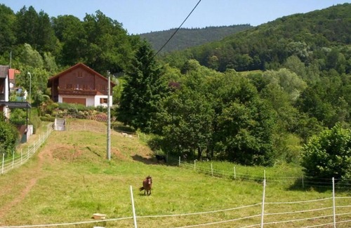 Dernbach Hotel | Hotel Restaurant Zum Belzenikel