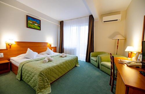 Baia Mare Hotel | Hotel Rivulus