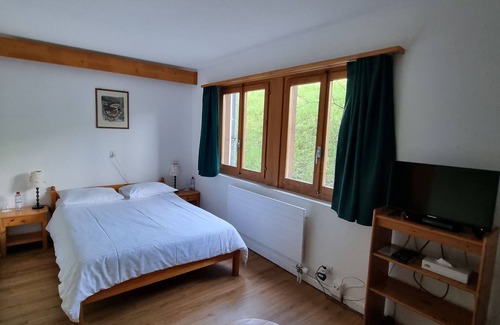 Chateau-d'Oex Hotel | Hotel Roc et Neige